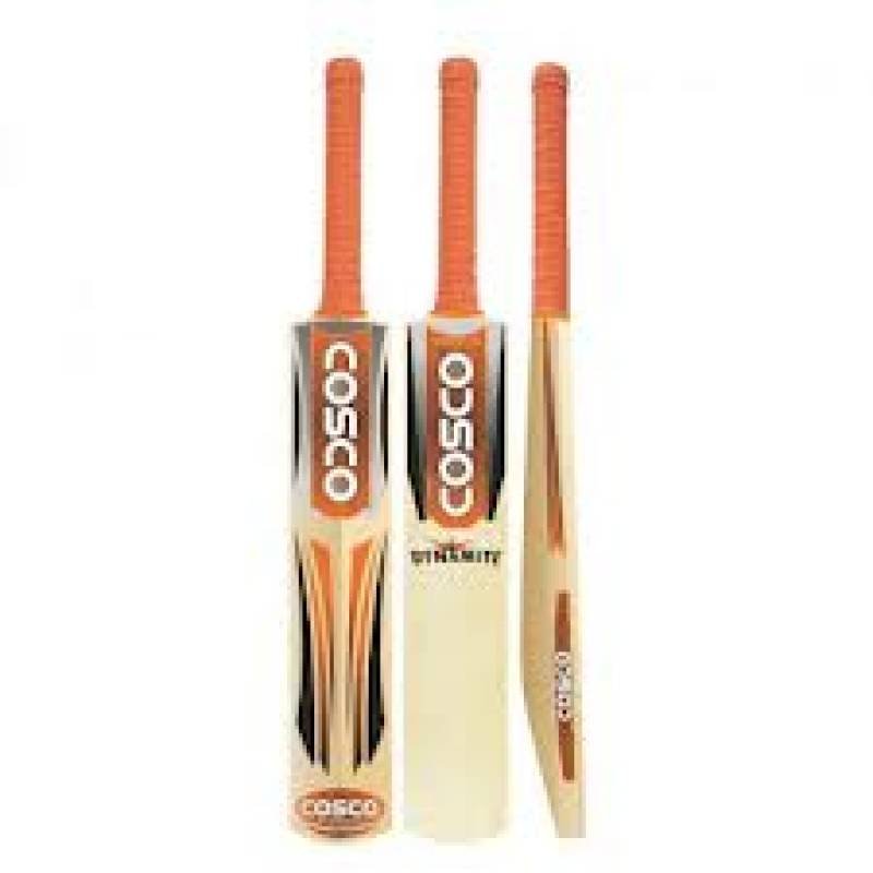 Cosco Dynamite Kashmir Willow Cricket Bat